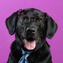 Vekknar-Labraheim-0.0.3 icon