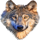 Vidar-Vapanbratova_Server_Pack icon
