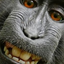 VillaCompany-Wilhelm_Scream_Mines-1.0.0 icon