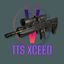 Volks-TTSXceed_Rifle-1.0.0 icon