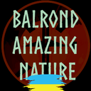 VoronUA-balrond_amazing_nature_UA-0.9.2 icon