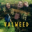 Wandex-Valweed_Hildir_fix-0.3.4 icon