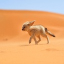 WarriorHunter1-FoxyRepoModPack icon