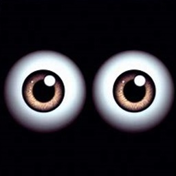 Wexop-BigEyes icon