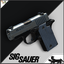 WickedBadger-Sig_P238-1.0.2 icon