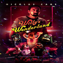 Willytopia-Willyvision icon