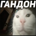 Winfi4-winfi4YoutubeBoombox-1.0.0 icon