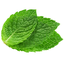 WonkManGood-chai_tea-0.1.0 icon