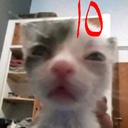 XYZ-IhanaRakastanIsoKulli-69.666.69 icon