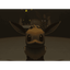 XuXiaolan-EeveeFrenzy-0.1.0 icon