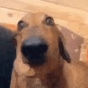Yeeeeee-YeeeeeesGroupPack-1.7.0 icon