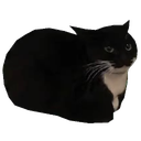 YoYo-Weird_Company-2.0.5 icon