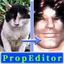 ZhuangLieChengRening-Prop_Editor-1.0.1 icon
