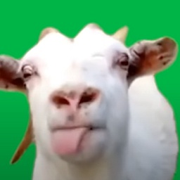 ake-GoatAirhorn icon