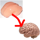 arubius-WrinklerPatcher-0.1.1 icon