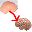 arubius-WrinklerPatcher-0.1.3 icon