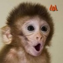 babymonkey107-BabyMonkeyModpack icon