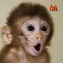 babymonkey107-BabyMonkeyModpack icon