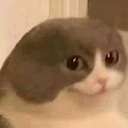bad_Pepega-my_compilation_pack_for_TVLoader icon
