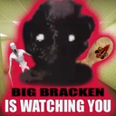bebra-The_Big_Bracken_Foundation-1.1.1 icon