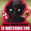 bebra-The_Big_Bracken_Foundation-1.2.0 icon