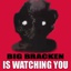bebra-The_Big_Bracken_Poster-1.0.5 icon