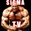 bighogga-Sigma_TV-1.0.2 icon