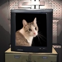 bingusbongus-Sophies_TV_Stuff icon