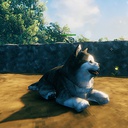 blacks7ar-Husky-1.0.0 icon