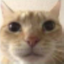 blue_crabs-cool_skins-1.0.0 icon