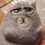 boldgar-Boldgar-1.0.1 icon