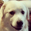 boring-CustomTranslatorCharLimit-1.0.2 icon