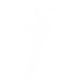 c04mr-Zombification icon
