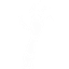 c04mr-Zombification-1.1.9 icon