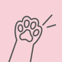 cami-CamiSuits icon