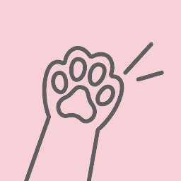 cami-CamiSuits icon