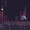 camphii-VioletCrater icon
