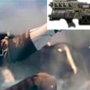 cat_or_not-GunYeet-1.0.0 icon