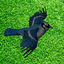 coemt-Birds-0.1.6 icon