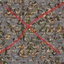 coemt-ProtectYourSeed-0.0.5 icon