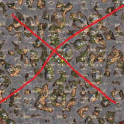 coemt-ProtectYourSeed icon