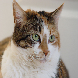 cring-catto icon