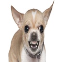 dalgooo-dalsauce icon