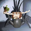 dancesonmoney-AngryYattaBug-1.0.2 icon