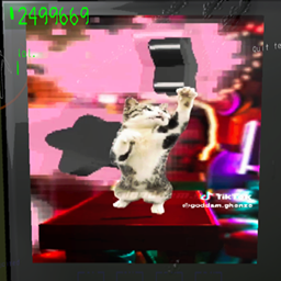 darmuh-Cat_Stories_TerminalVideos icon