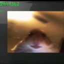 darmuh-darmuhsTerminalStuff-3.5.4 icon