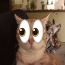 dempiro_mods_yay-dempiros_suffering_tv-1.0.0 icon