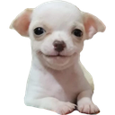 docs-Test icon