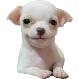 docs-Test icon