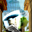 duviz-VineBoomTitleDrop icon
